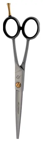 Bestpreis Hinshitsu Schere G02-60 Hinshitsu Schere G02-60 online kaufen bellaffair.at