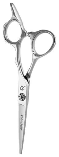 Hinshitsu Schere S2L-60 Hinshitsu Schere S2L-60 online kaufen bellaffair.at Ausverkauf