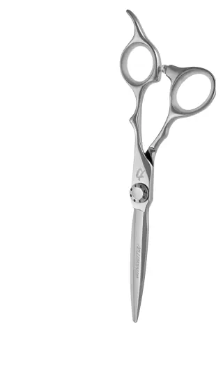 Preisknaller Hinshitsu Schere L-60L Hinshitsu Schere L-60L online kaufen bellaffair.at