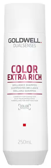Preiswert Goldwell Dualsenses Color Extra Rich Shampoo Menge 250 ml