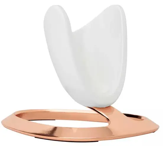Direktkauf Nu Skin ageLOC LumiSpa iO Stand Rose Gold Nu Skin ageLOC LumiSpa iO Stand Rose Gold online kaufen bellaffair.at