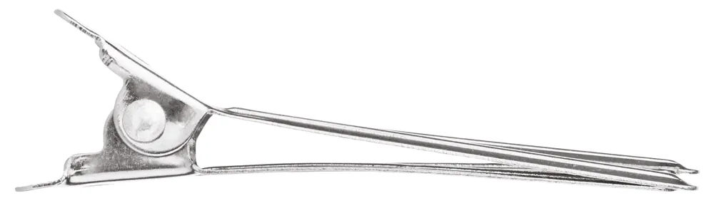 Aktuell Xanitalia Metallspange mit Doppelschnabel 4,5 cm Typ 2 12Stk. Xanitalia Metallspange mit Doppelschnabel 4,5 cm Typ 2 12Stk. online kaufen bellaffair.at