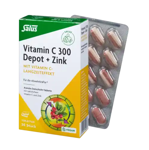 Schneller Versand Salus Vitamin C 300 Depot + Zink Tabletten (30 Tabletten)