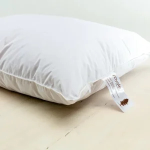 Super-Preis Arvenkissen royale (Kissen 65cm x 65cm)