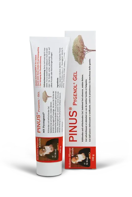 Pinus Pygenol Gel (100 Gramm) Billig
