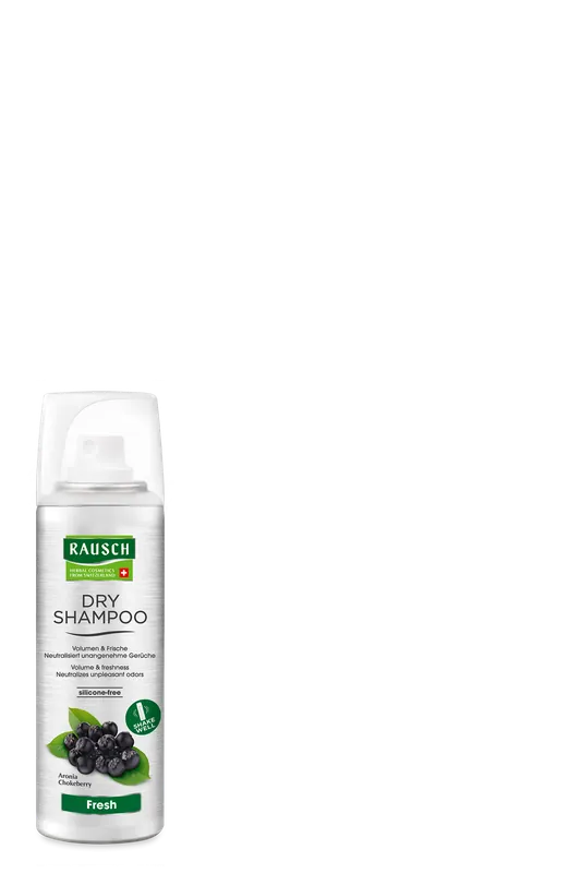 Neuheit Rausch Dry Shampoo (50 ml)