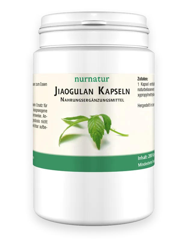 Jiaogulan Kapseln (200 Kapseln) Rabatt