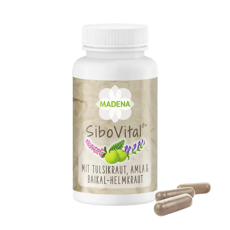 Madena SiboVital® (60 Kapseln) Jetzt Bestellen