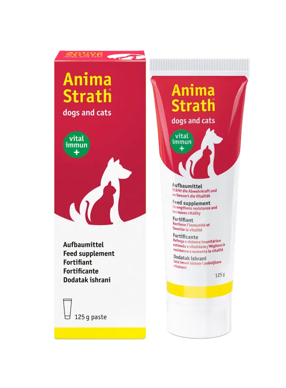 Neu Im Sortiment ANIMA STRATH Dogs and Cats Paste (125 g)