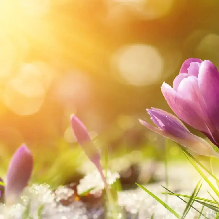 Zertifiziert Workshop Ptb Stoffwechsel (Am 12.03.2026)