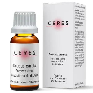 CERES Daucus carota Potenzakkord Tropfen (20 ml) Direkt Vom Hersteller