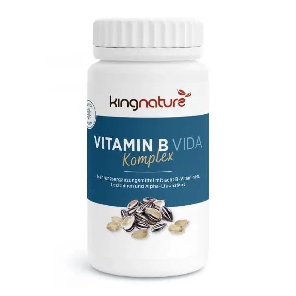 KINGNATURE Vitamin B Vida (90 Kapseln) Expressversand