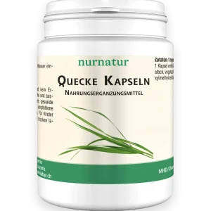 Highlight Quecke Kapseln (200 Kapseln)
