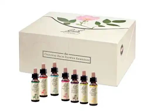 Bachblüten Komplexset Dr. Nelson Karton (10ml) Neu