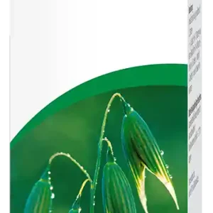 Vogel Avenaforce Nerven Tropfen (100 ml) Echt