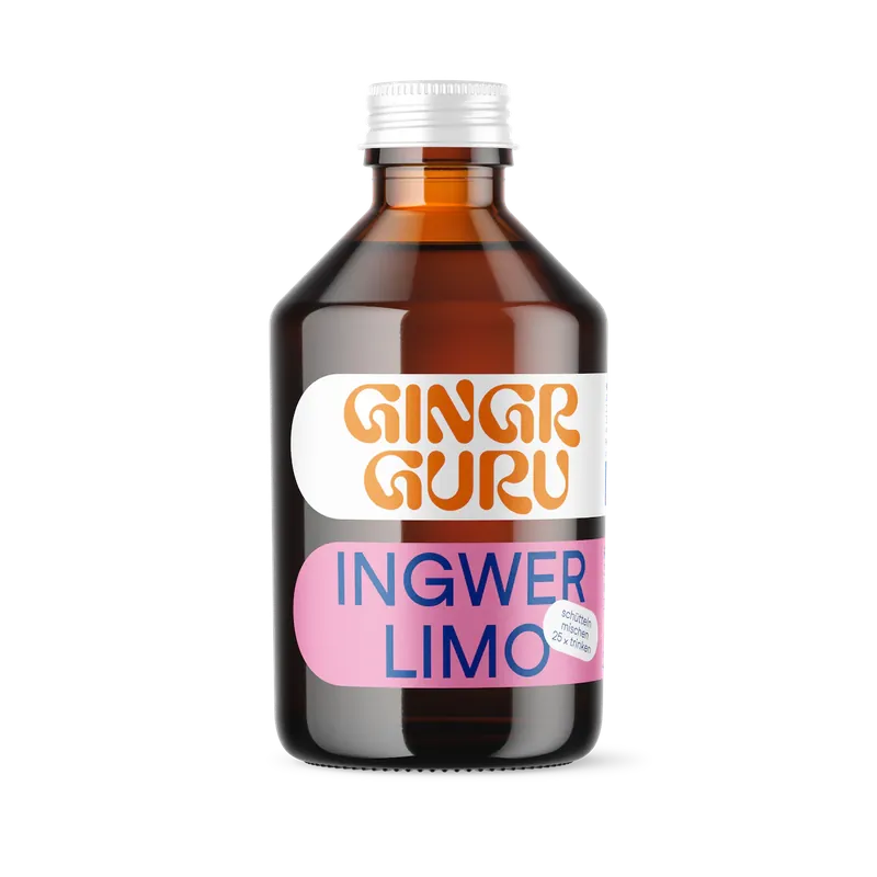 Mega-Angebot Gingr Guru Ingwer Konzentrat Limo (250 ml)