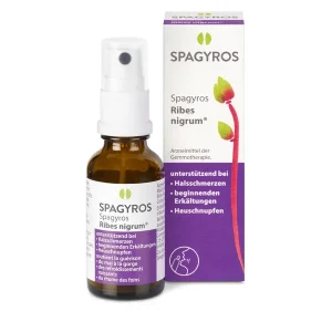 Bestseller Spagyros Ribes nigrum Mundspray D 1 (30ml)