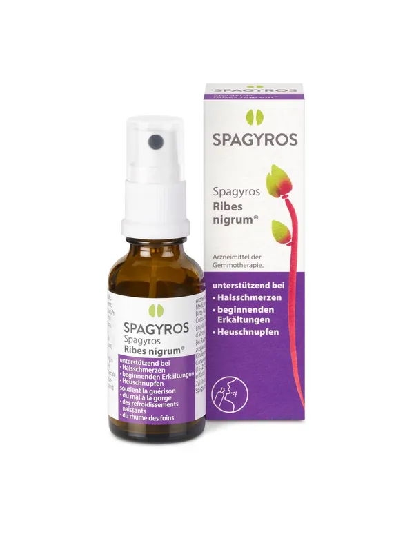 Bestseller Spagyros Ribes nigrum Mundspray D 1 (30ml)