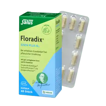 Solange Der Vorrat Reicht Floradix Eisen + B12 Kapseln vegan (40 Kapseln)