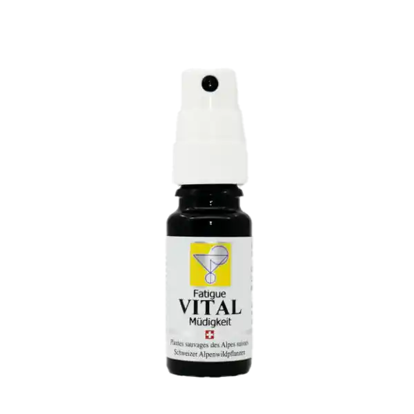 Angebot Odinelixir VITAL - Erschöpfung (10 ml)