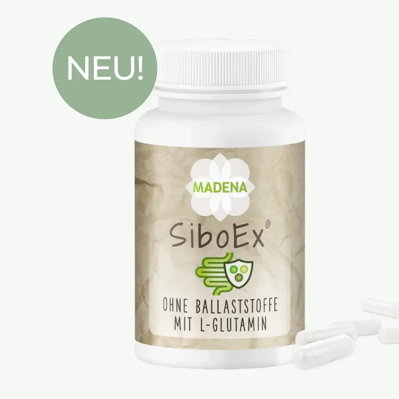 Must-Have Madena SiboEx® (60 Kapseln)