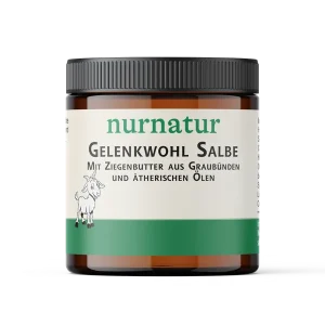 Gelenkwohl Salbe (100 ml) Online Kaufen
