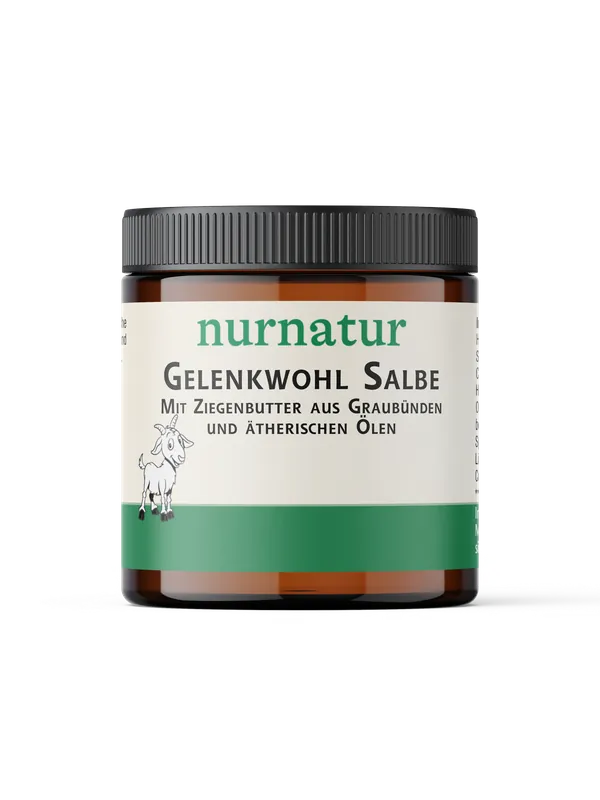 Gelenkwohl Salbe (100 ml) Online Kaufen