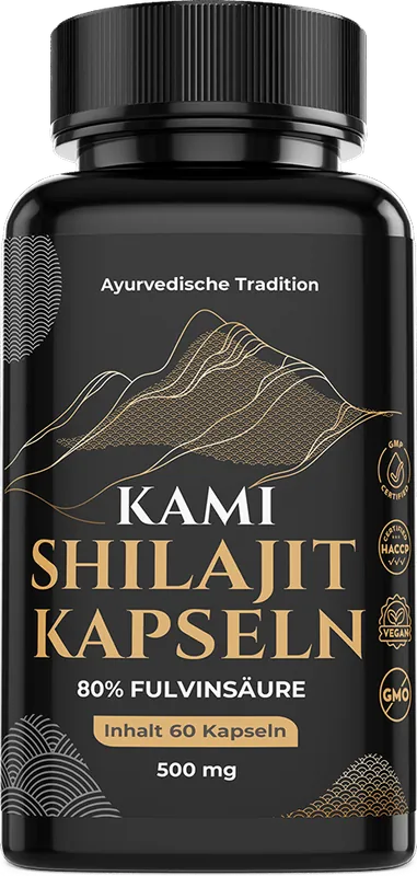 Kami Shilajit Kapseln 500 mg (60 Kapseln) Begrenztes Angebot