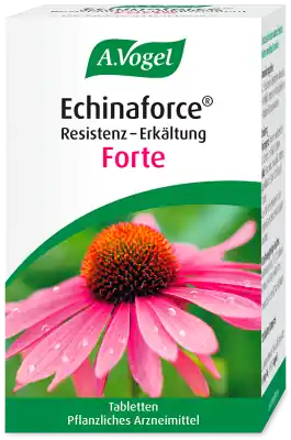 Nur Heute Vogel Echinaforce Resist-Erkält forte Tabl (40 Tabletten)