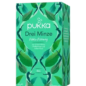 Pukka Tee Drei Minze Bio Btl. (20 Btl.) Meistverkauft