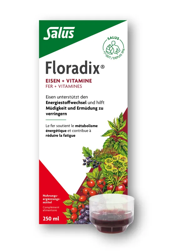 Floradix (250 ml) Super-Preis