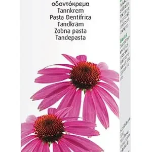 Vogel Echinacea-Zahnpasta (100 g) Echt