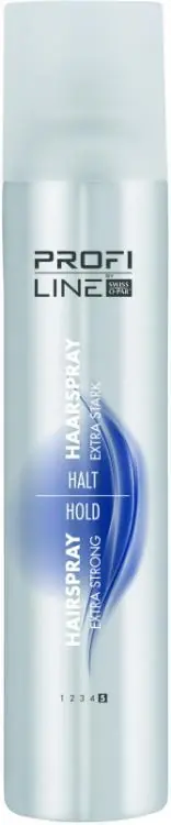Profi Line Halt Haarspray 5 Angebot