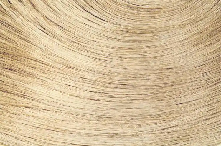 Wella EOS Coloration auf Pflanzenbasis no3 Ingwer Top-Preis