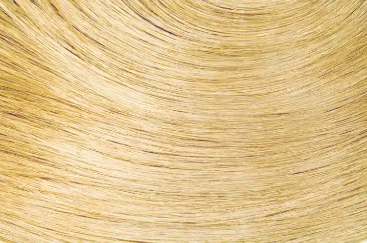 Top-Preis Wella EOS V Golden Curry