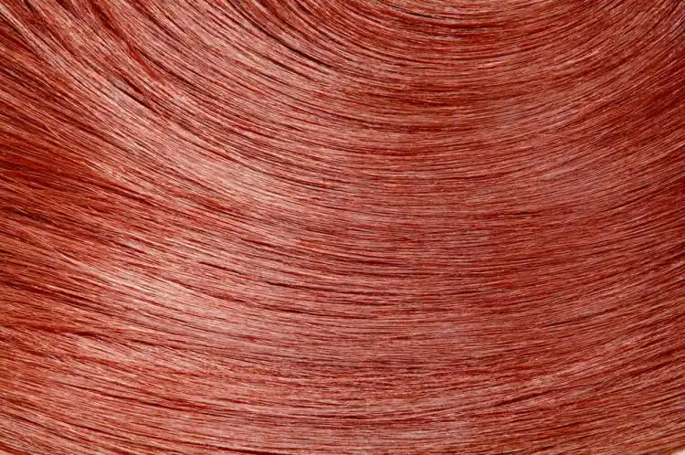 Wella EOS Coloration auf Pflanzenbasis no6 Safran Saisonangebot