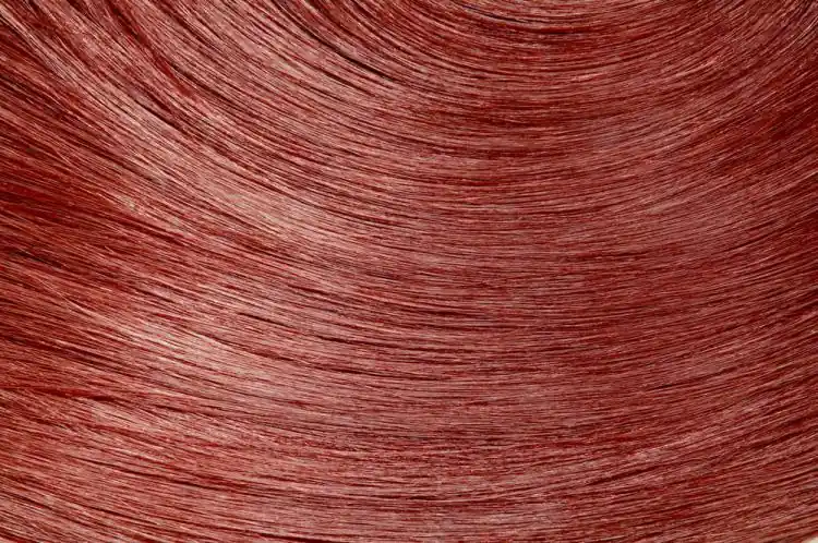 Wella EOS Viii Zimt Begrenztes Angebot
