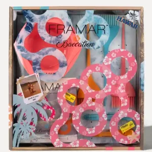 Framar Baecation Colorist Kit Highlight