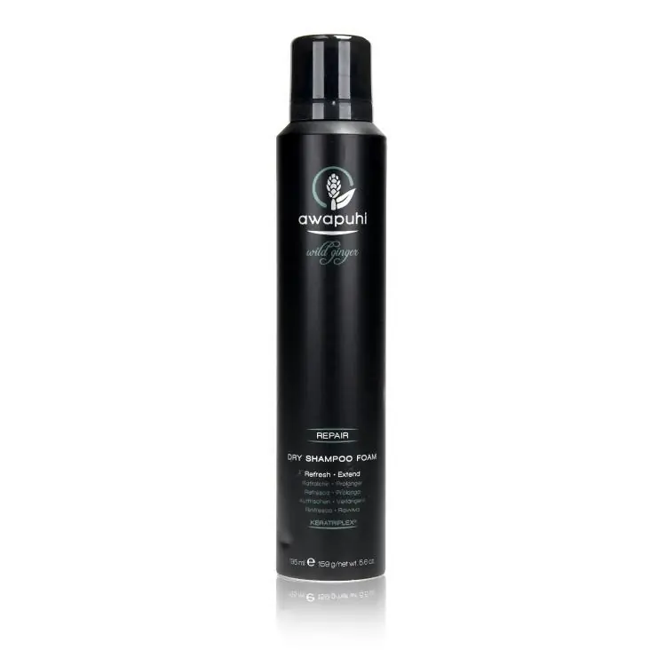 Abverkauf Paul Mitchell Awapuhi Wild Ginger Dry Shampoo Foam