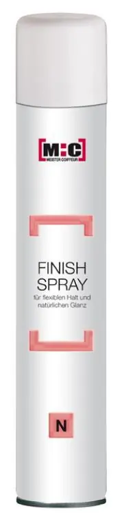 Billig Meister Coiffeur Finish Spray N normaler Halt