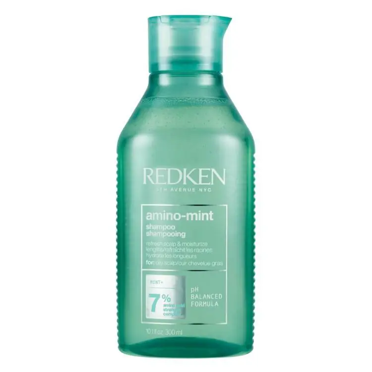 Super-Preis Redken Amino Mint Shampoo