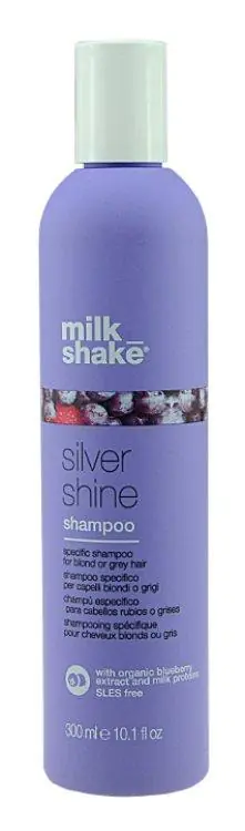 Echt Milk Shake Silver Shine Shampoo