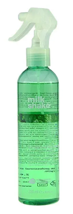 Direkt Vom Hersteller Milk Shake Sensorial Mint Invigorating Spray