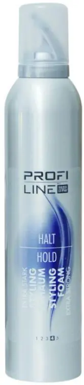 Profi Line Halt Styling Schaum 4 Geprüft