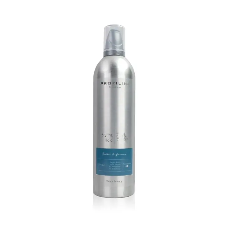 Geprüft Profi Line Halt Styling Schaum 4