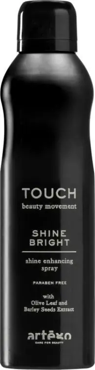 Artego Touch Shine Bright Glanz Spray Neu