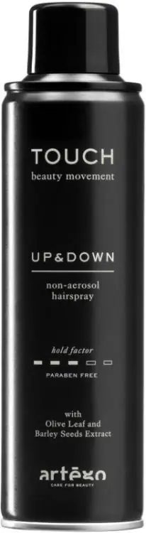 Artego Touch Up And Down Haarspray Sale