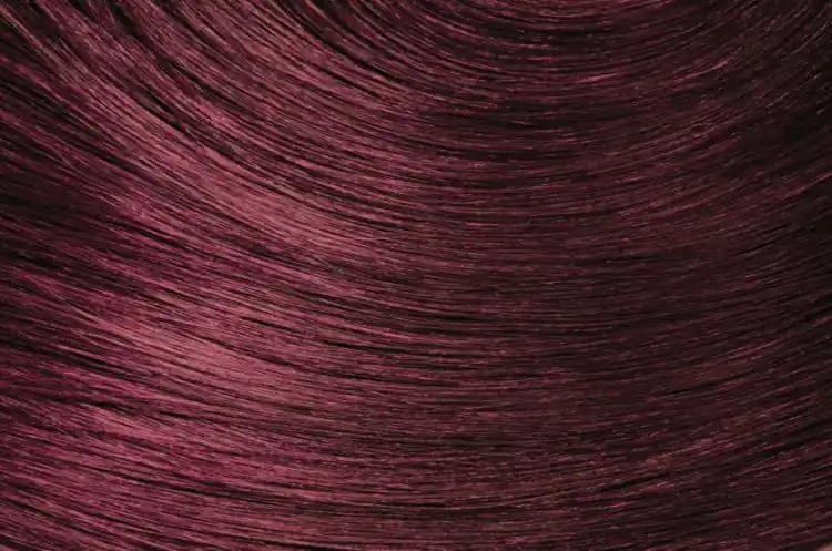 Neue Kollektion Wella EOS XI Purple Tandoori