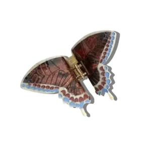 Versand Am Gleichen Tag Solar Eclipse Schwalbenschwanz Schmetterling braun