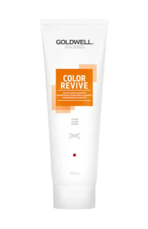 Goldwell Dualsenses Color Revive Farbgebendes Shampoo Kupfer Top-Angebot